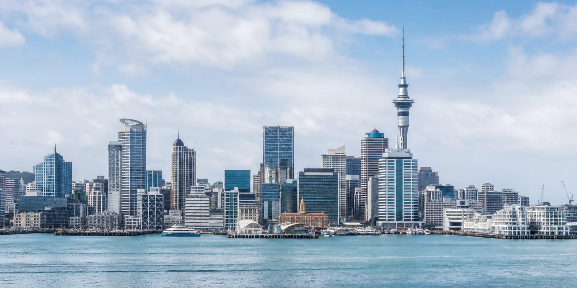 New Zealand medical device notification workspace with Auckland waterfront